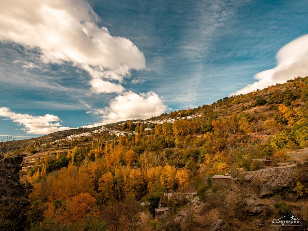 Alojamientos Rurales Los Macabes Alpujarra De La Sierra Buitenkant foto